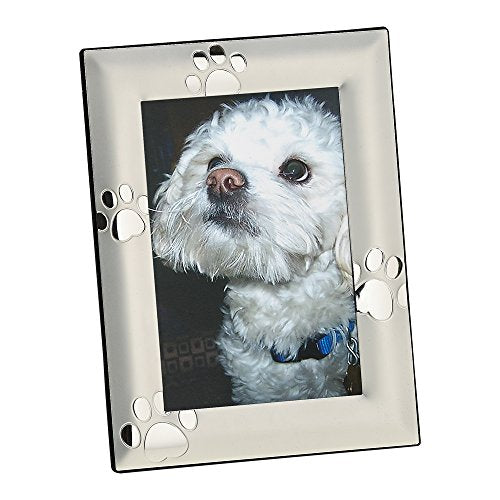 Creative Gifts International 024158 Puppy Paw Print Picture Frame, 4" x 6", Silver