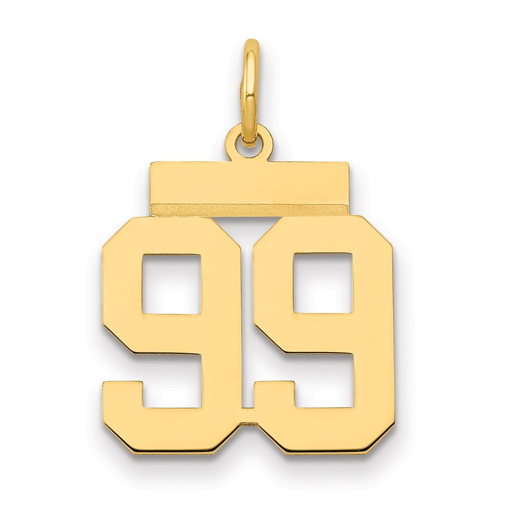 14k Small Polished Number 99 Charm
