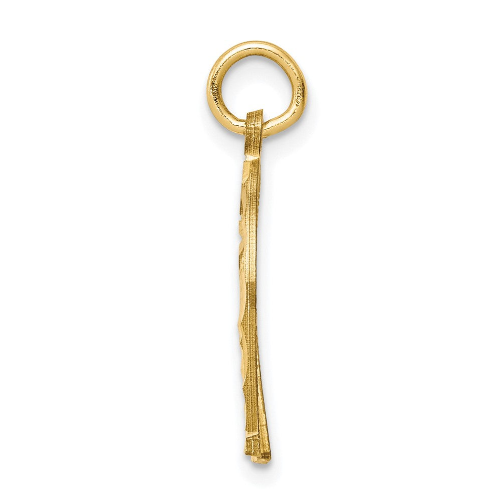 10k Horseshoe Charm Yellow Gold