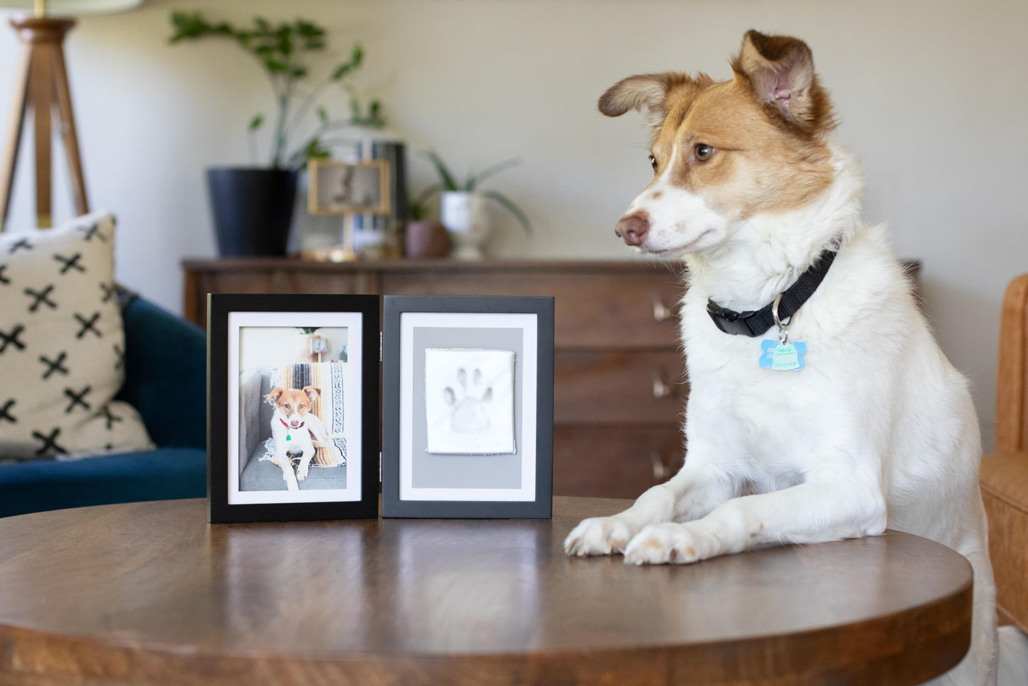 Pawprints Hinged Black Wood 4x6 Photo Frame with Clay, Tools, and Instructions