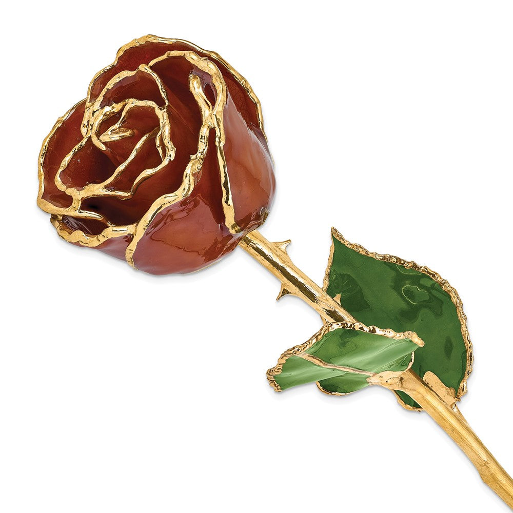 Lacquer Dipped Gold Trimmed Root Beer Real Rose QGM22714