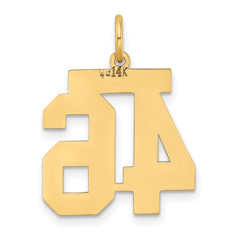 14k Medium Satin Number 46 Charm