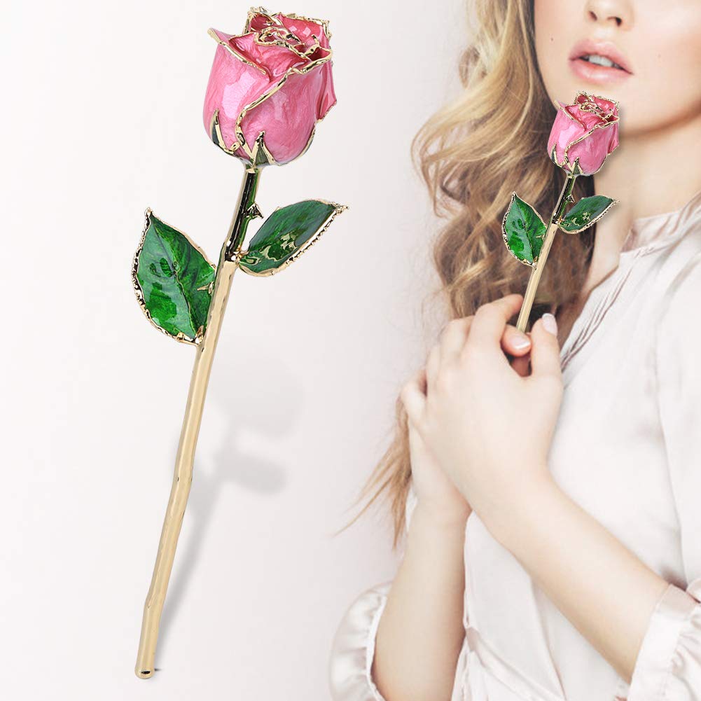 24k Gold Plated Trim Pink Rose