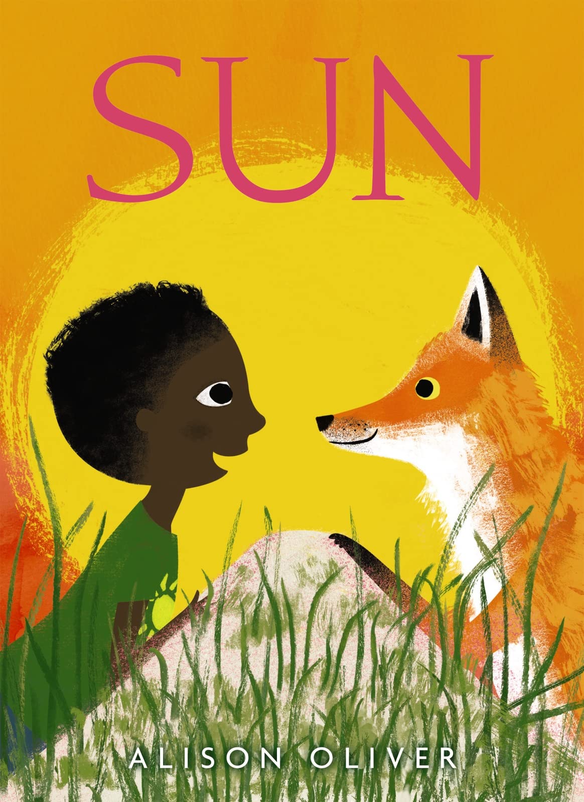 Sun [Hardcover] Oliver, Alison
