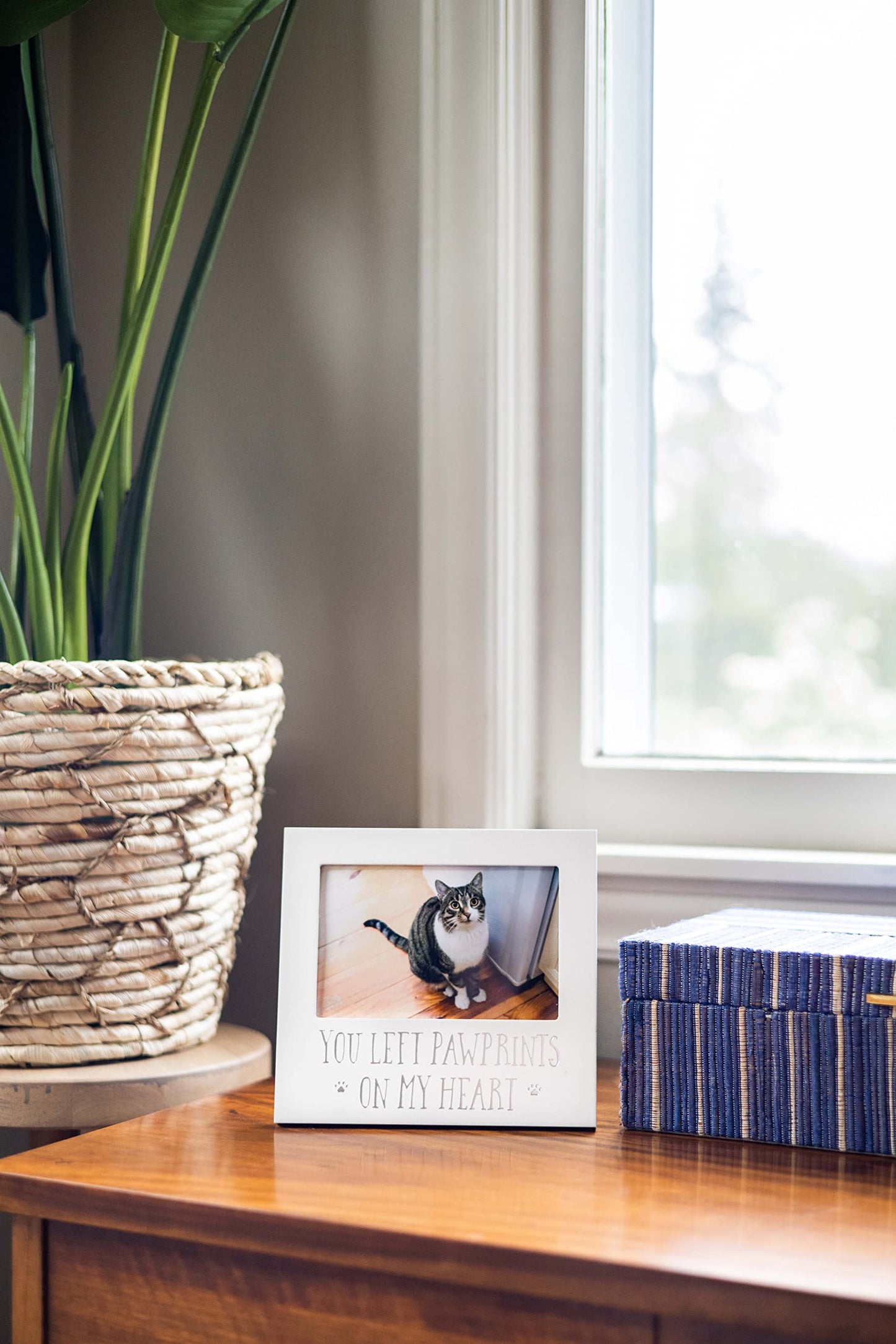 White Wooden YOU LEFT PAWPRINTS ON MY HEART Pet Remembrance 4x6 Photo Frame Q-GM20968