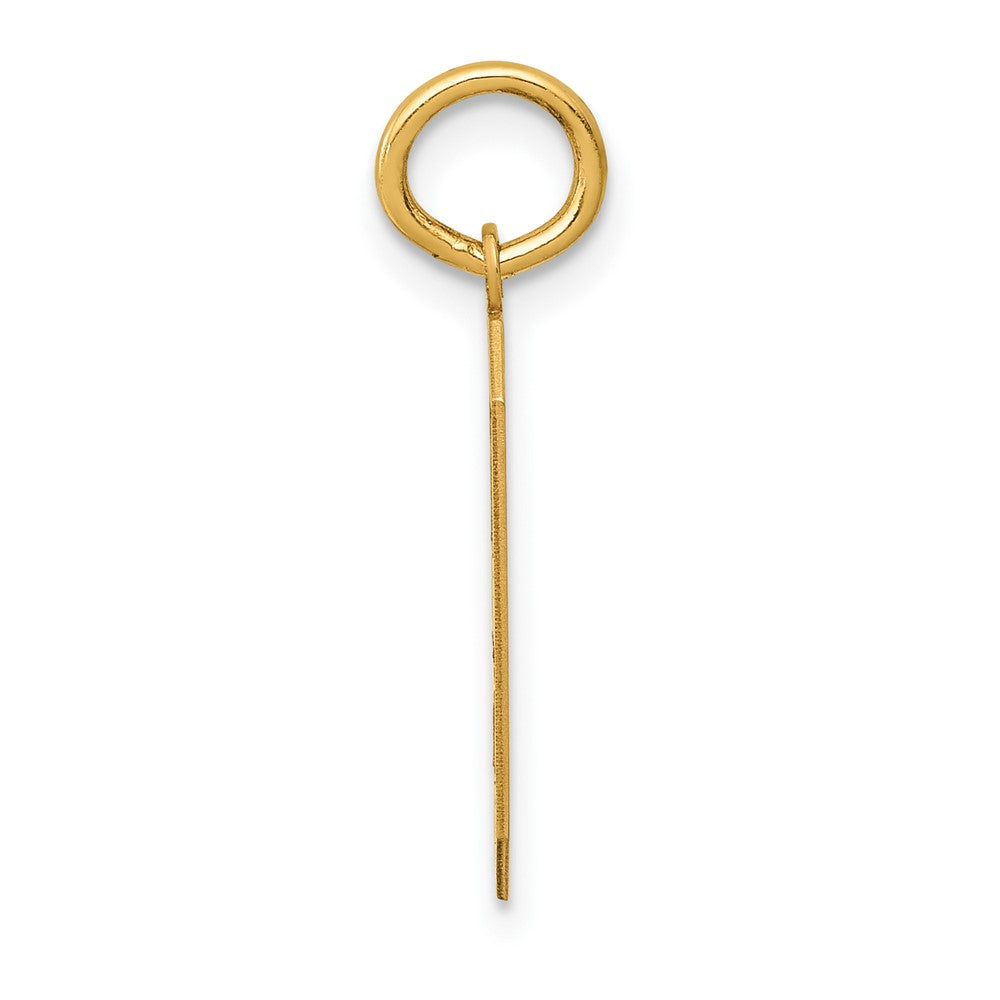 10k Medium Satin Number 9 Charm