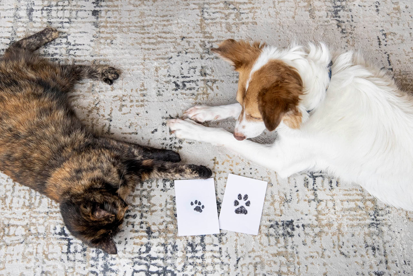 Pearhead Pet Paw Print Clean-Touch Ink Pad Kit with Imprint Cards for Cats or Dogs, Black