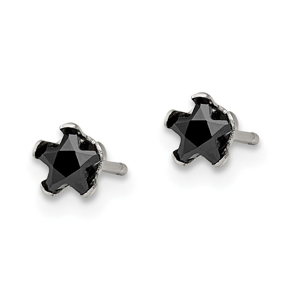 Stainless Steel Polished 4mm Black Star CZ Stud Post Earrings