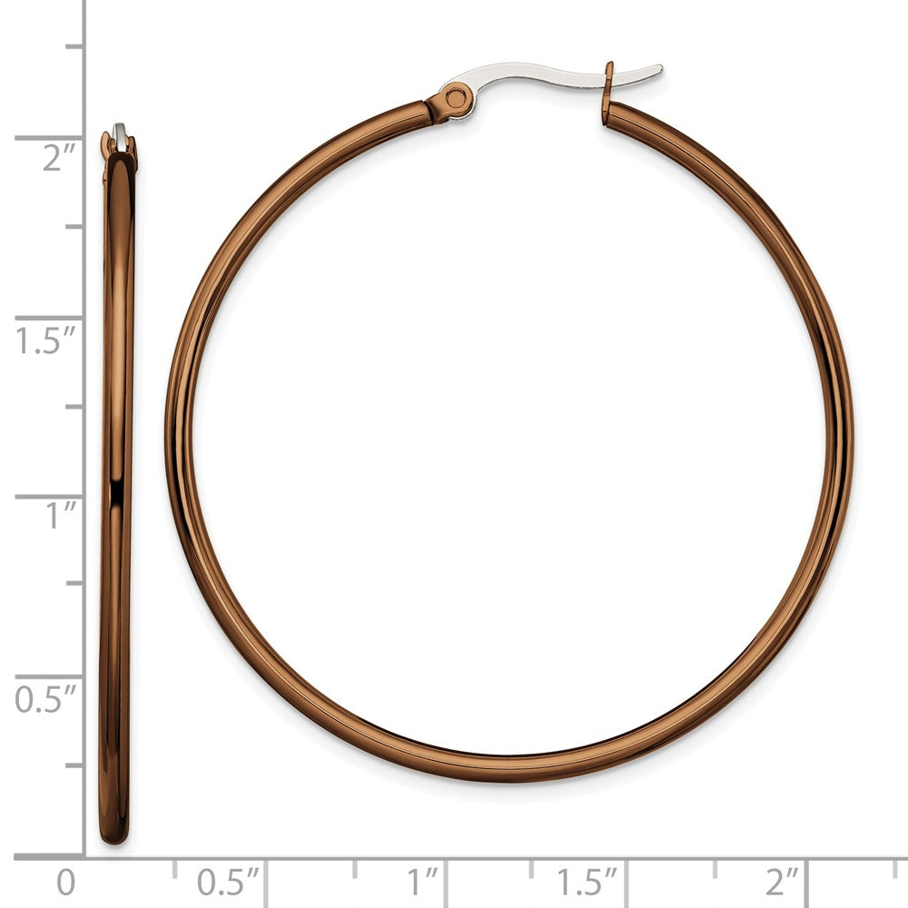 Stainless Steel Polished Brown IP-plated 48mm Diameter Hoop Earrings