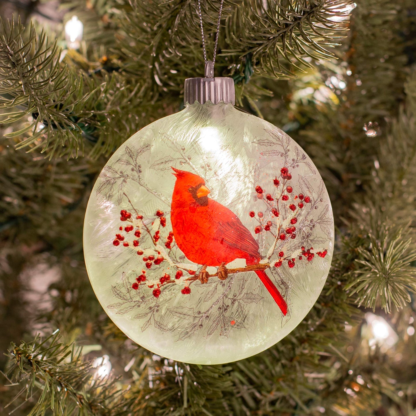 Roman Cardinal On Holly Branch Winter Forest Red 6 x 5 Glass Holiday Hanging Ornament