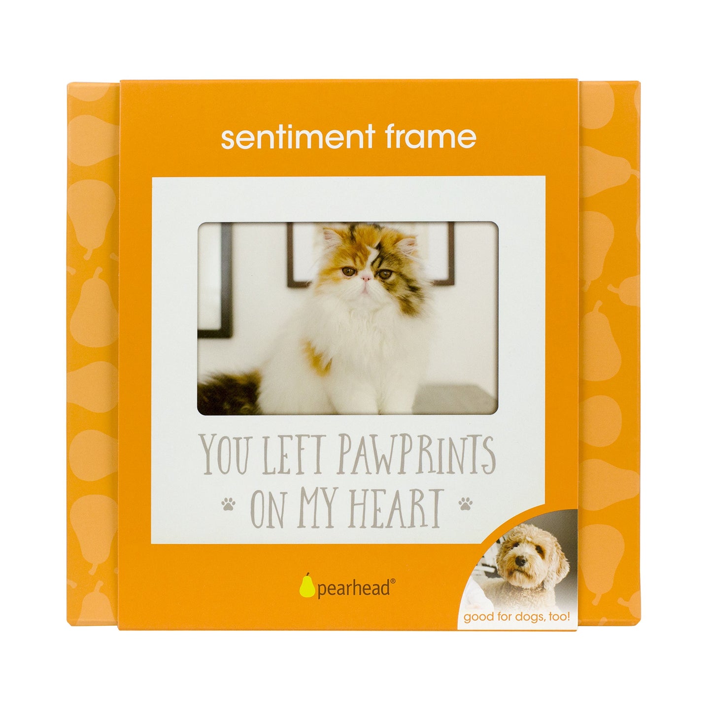 White Wooden YOU LEFT PAWPRINTS ON MY HEART Pet Remembrance 4x6 Photo Frame Q-GM20968