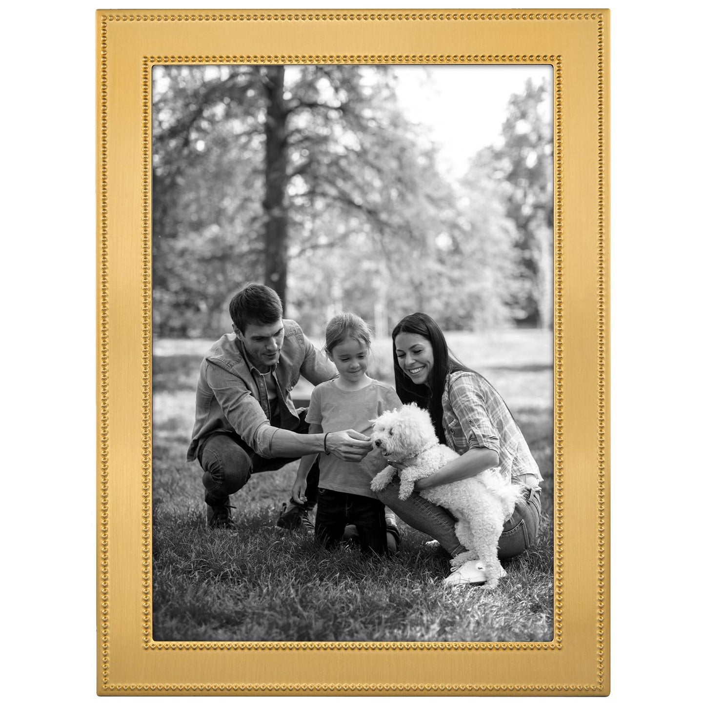 Siena Beaded Frame Gold 8x10
