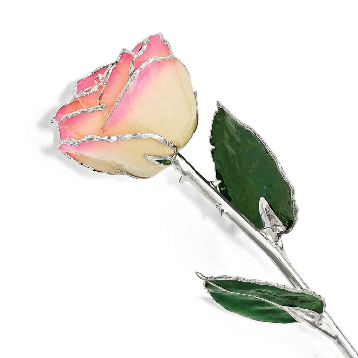 Lacquer Dipped Silver-plated Trimmed Green Leaf and White/ Pink Rose