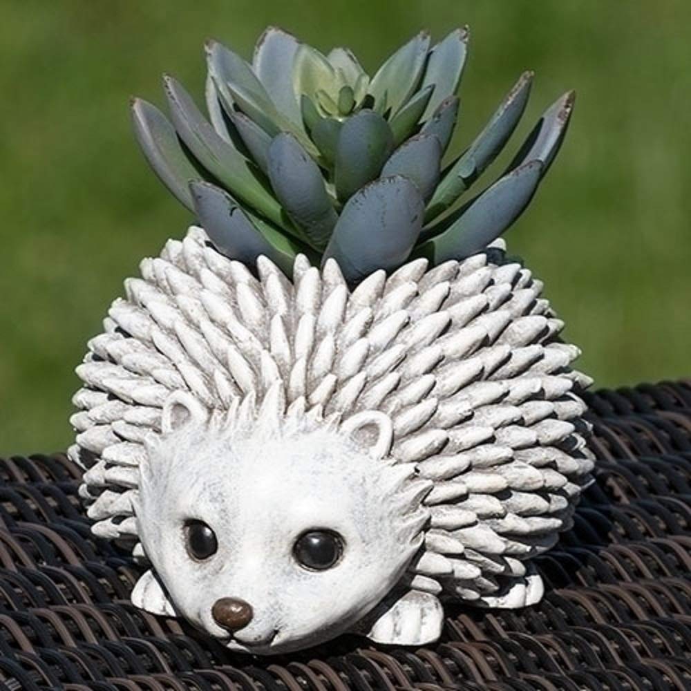 Roman 73992 - 3.25"H MINI HEDGEHOG PUDGY (12510) Home Office Planters