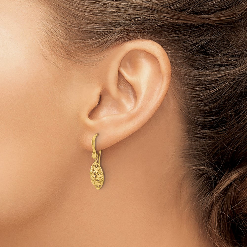 14k Polished D/C Shepherd Hook Dangle Earrings