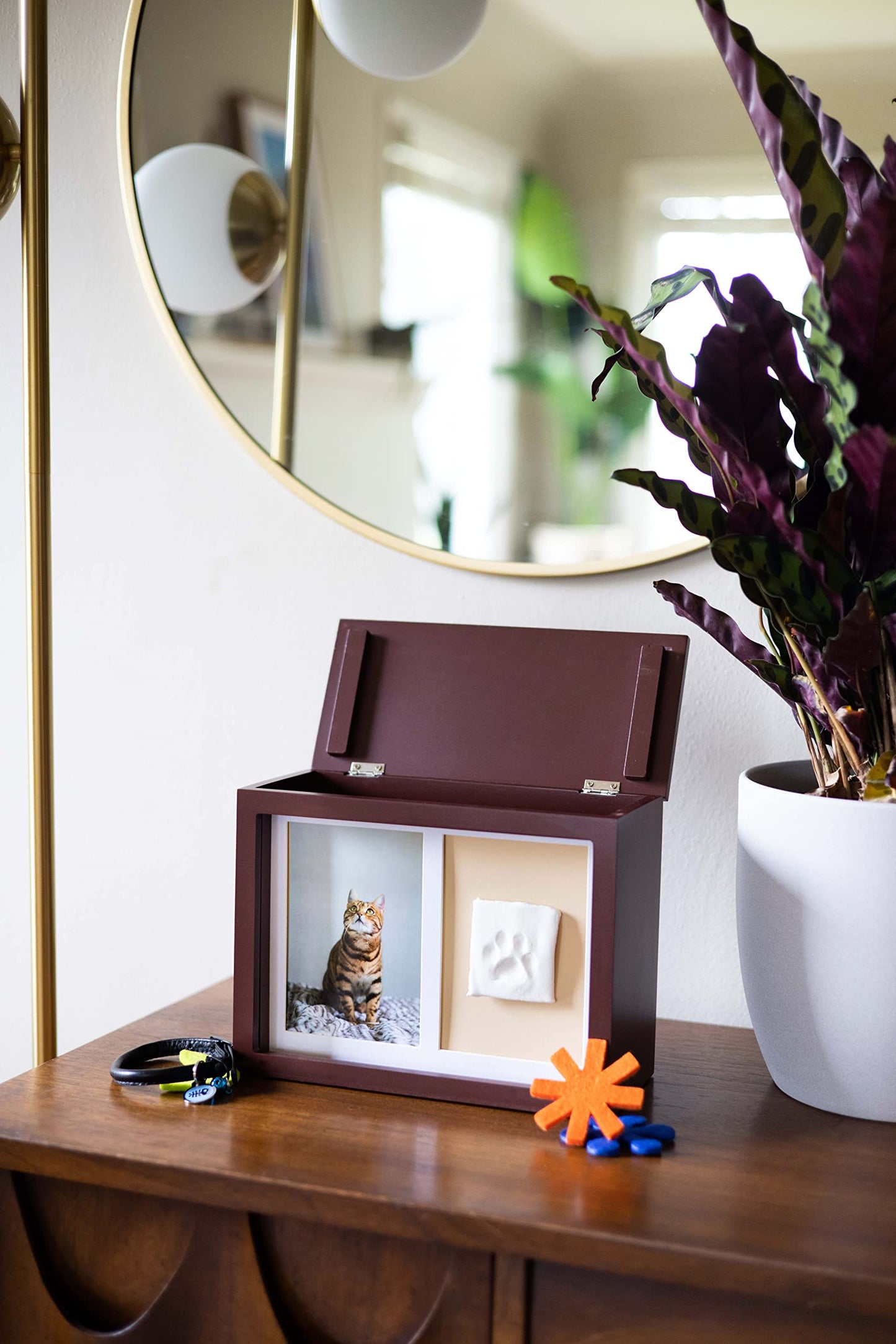 Pearhead Pet Photo Memory Box and Impression Kit for Dog or Cat Paw Print, Espresso