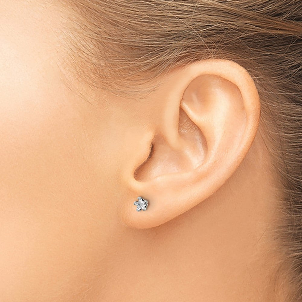 Stainless Steel Polished 4mm Star CZ Stud Post Earrings