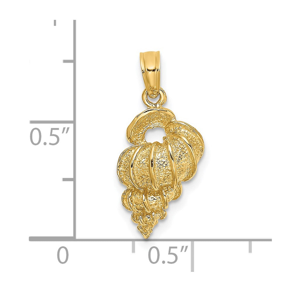 14K Wentletrap Shell Charm