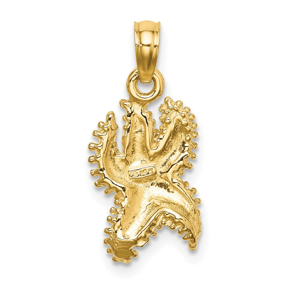 14K Textured Starfish Charm