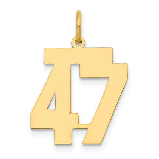 14k Medium Polished Number 47 Charm