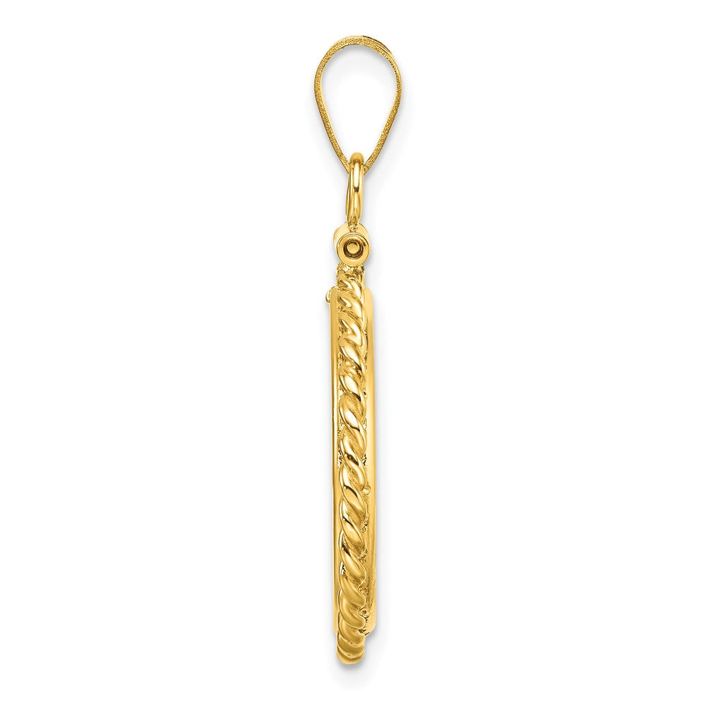 Wideband Distinguished Coin Jewelry 14k Polished Twisted Wire 17.8mm x 1.35mm Screw Top Coin Bezel Pendant