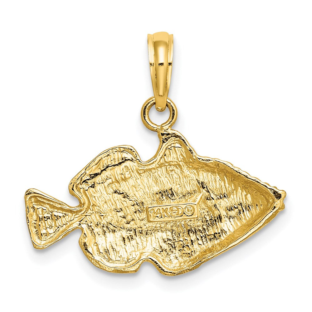 14K 2-D /Engraved Striped Fish Charm
