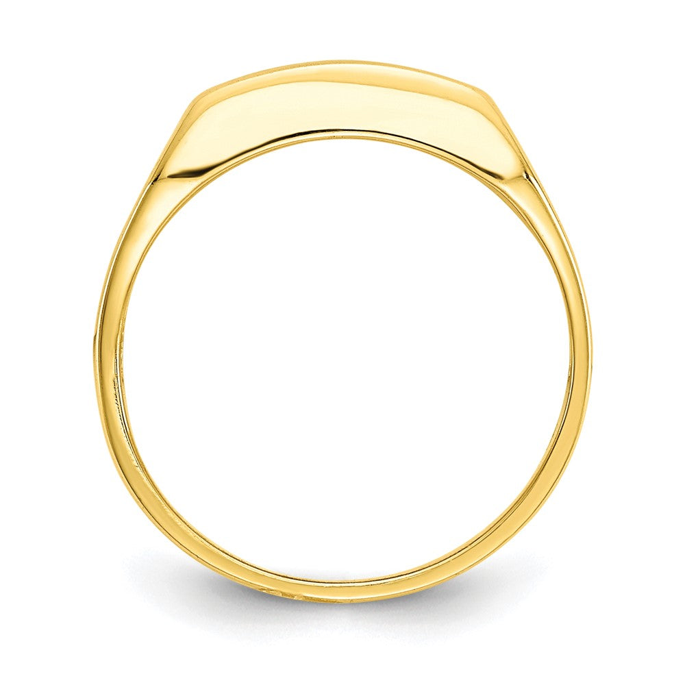 10k Gold CZ Polished Small Sized Ring