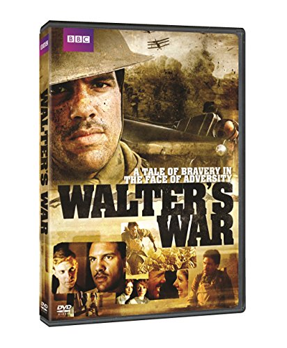 Walter's War (DVD) [DVD]