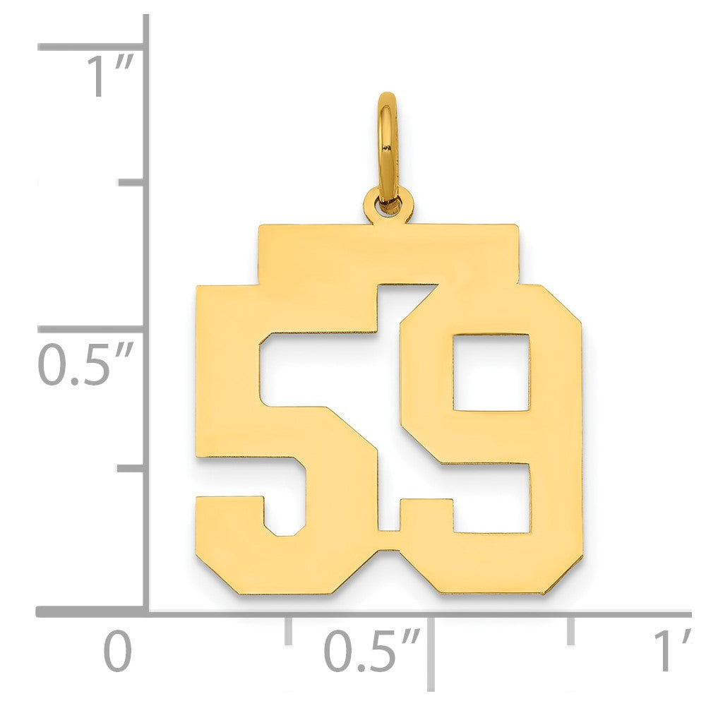 14k Medium Polished Number 59 Charm
