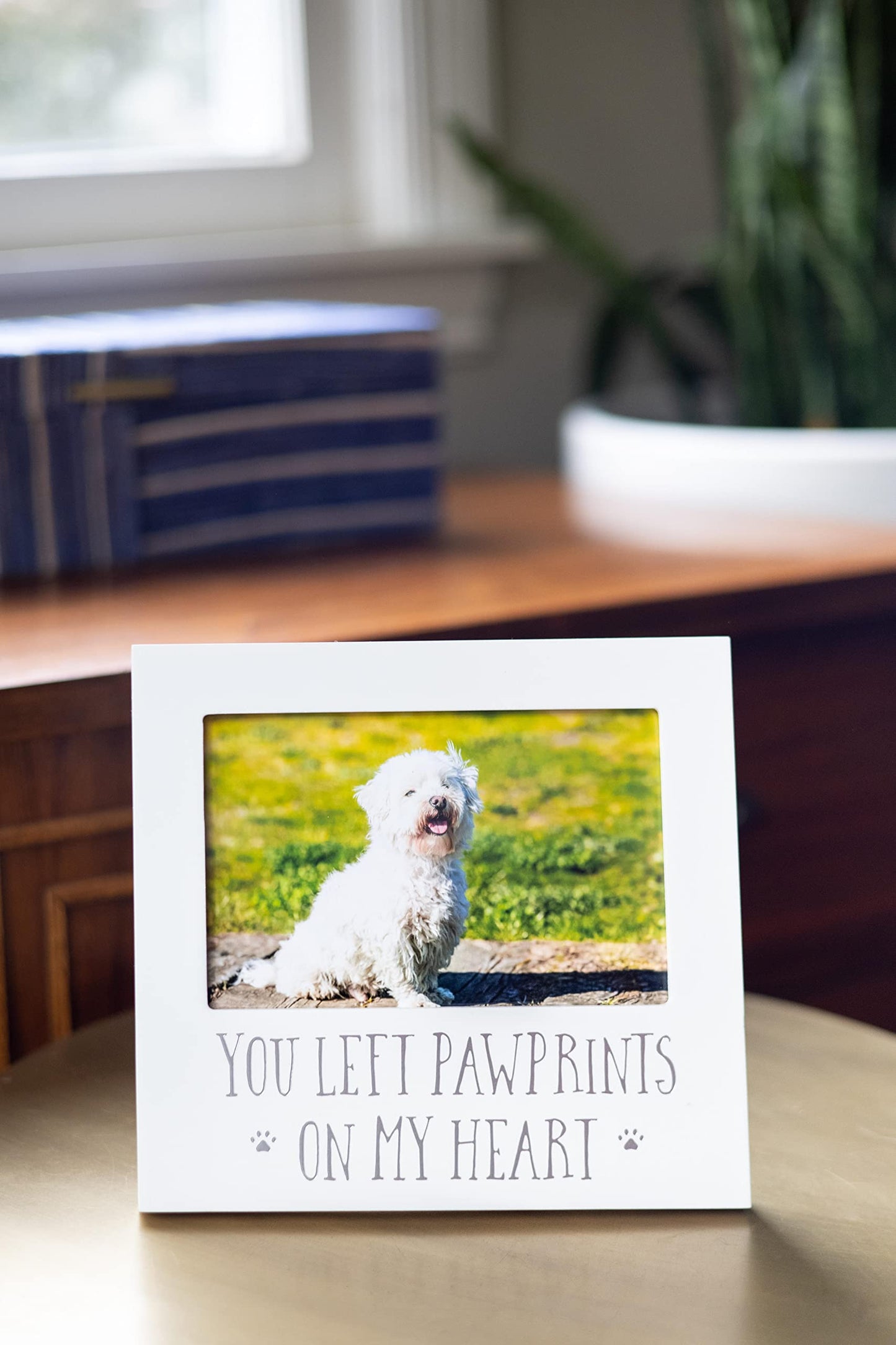 White Wooden YOU LEFT PAWPRINTS ON MY HEART Pet Remembrance 4x6 Photo Frame Q-GM20968