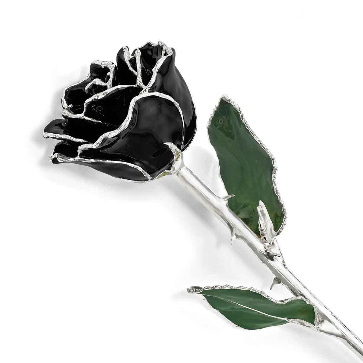 Lacquered Dipped Silver-Plated Trimmed Green Leaf with Black Rose