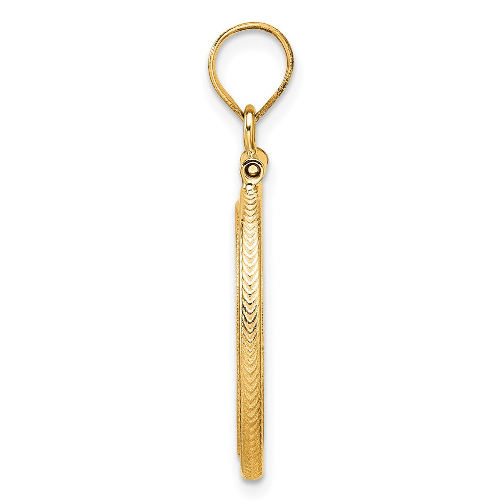 Wideband Distinguished Coin Jewelry 14k Polished Foxtail Chain 16.5mm x 1.35mm Screw Top Coin Bezel Pendant