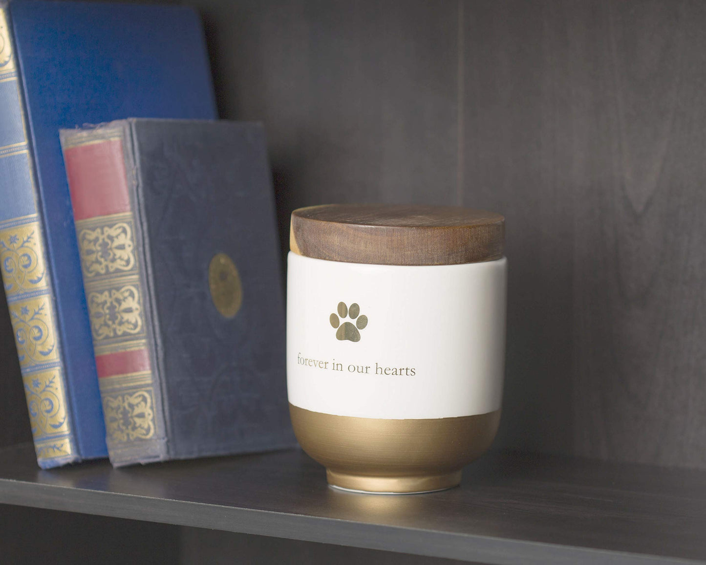 FOREVER IN OUR HEARTS Brown Ceramic Pet Memory Jar with Wooden Lid