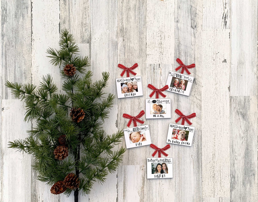 Ornament Frame Furry Friend Ribbon Hang