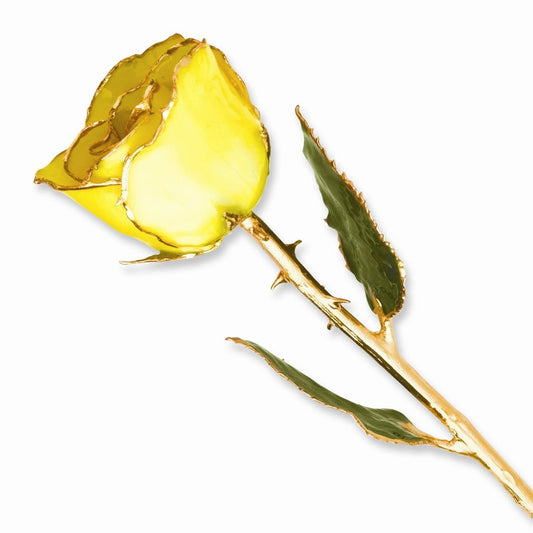 Lacquer Dipped 24k Gold Plated Trim Yellow Rose