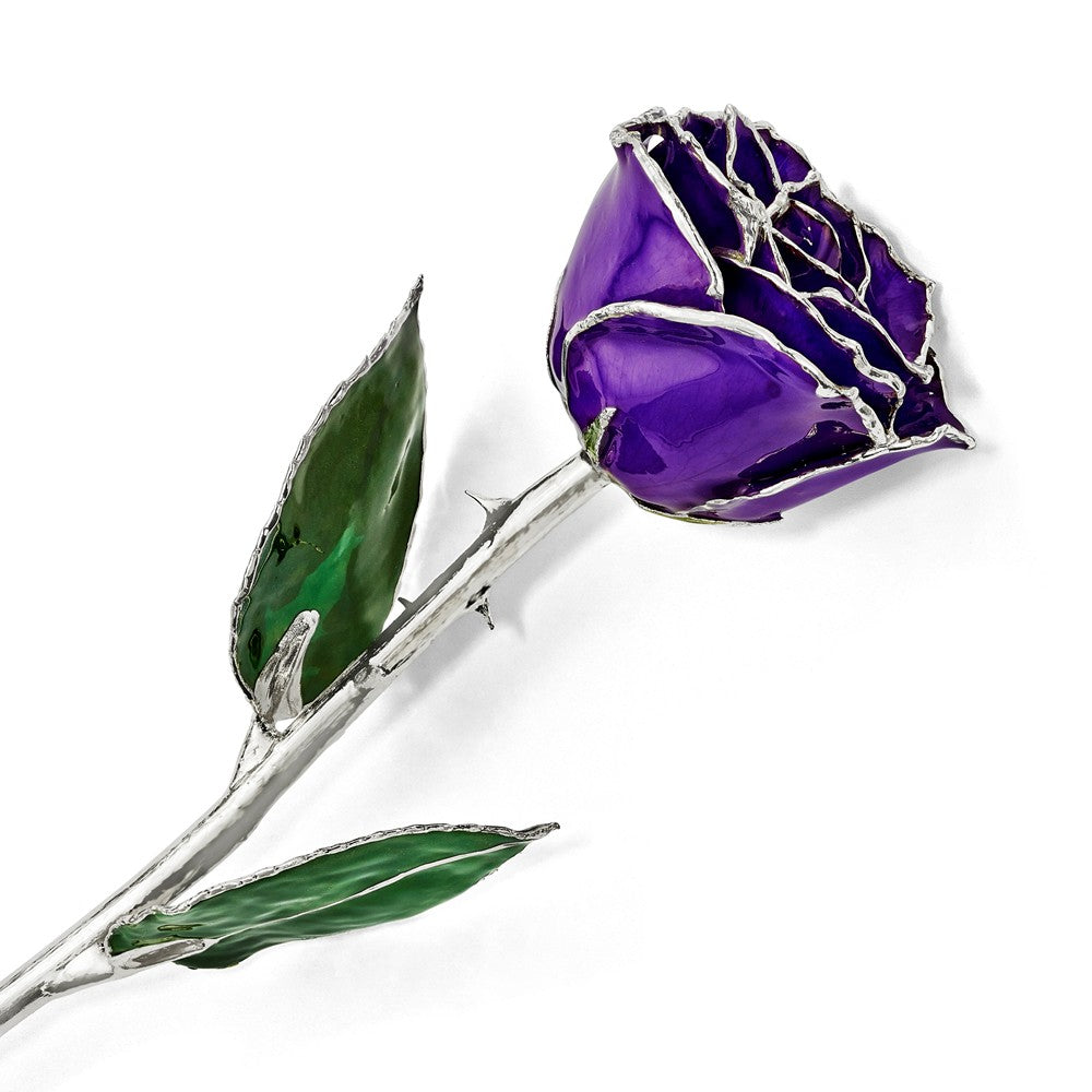 Lacquer Dipped Silver Trimmed Lilac Rose