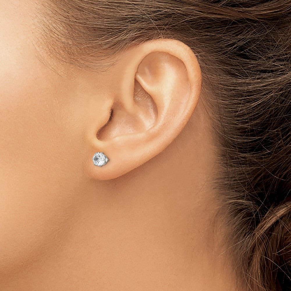 Stainless Steel Polished 5mm Round CZ Stud Post Earrings
