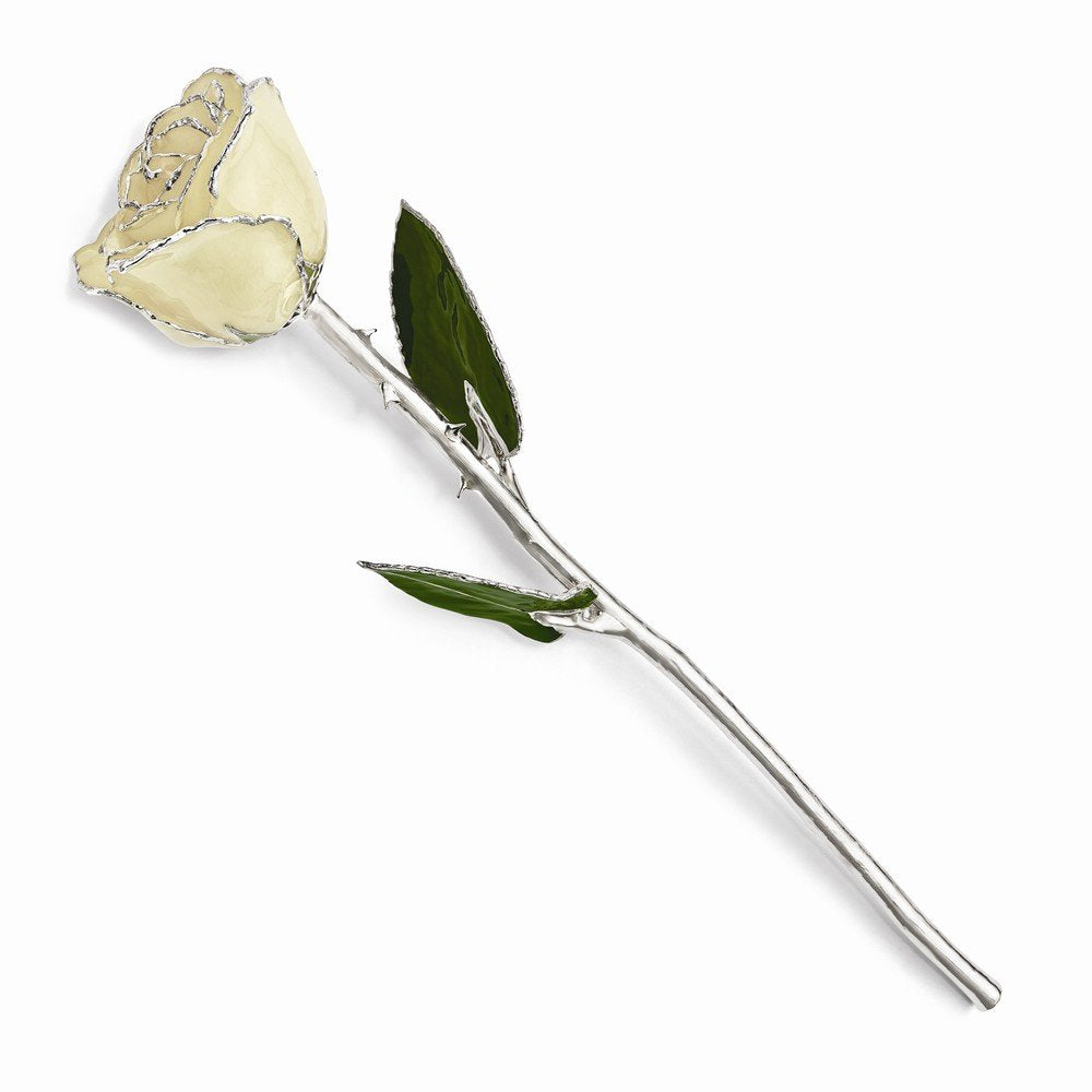 Lacquer Dipped Silver Trimmed White Rose