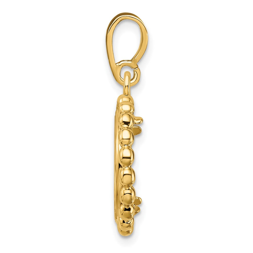 Wideband Distinguished Coin Jewelry 14k Polished with Beaded Edge 13.0mm Prong Coin Bezel Pendant