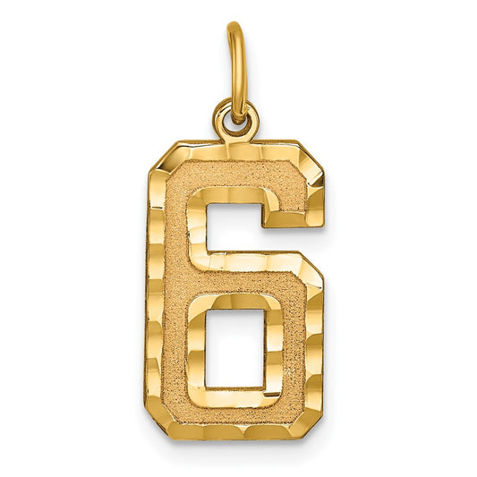 14k Large Brushed Diamond-cut  Number 6 Charm