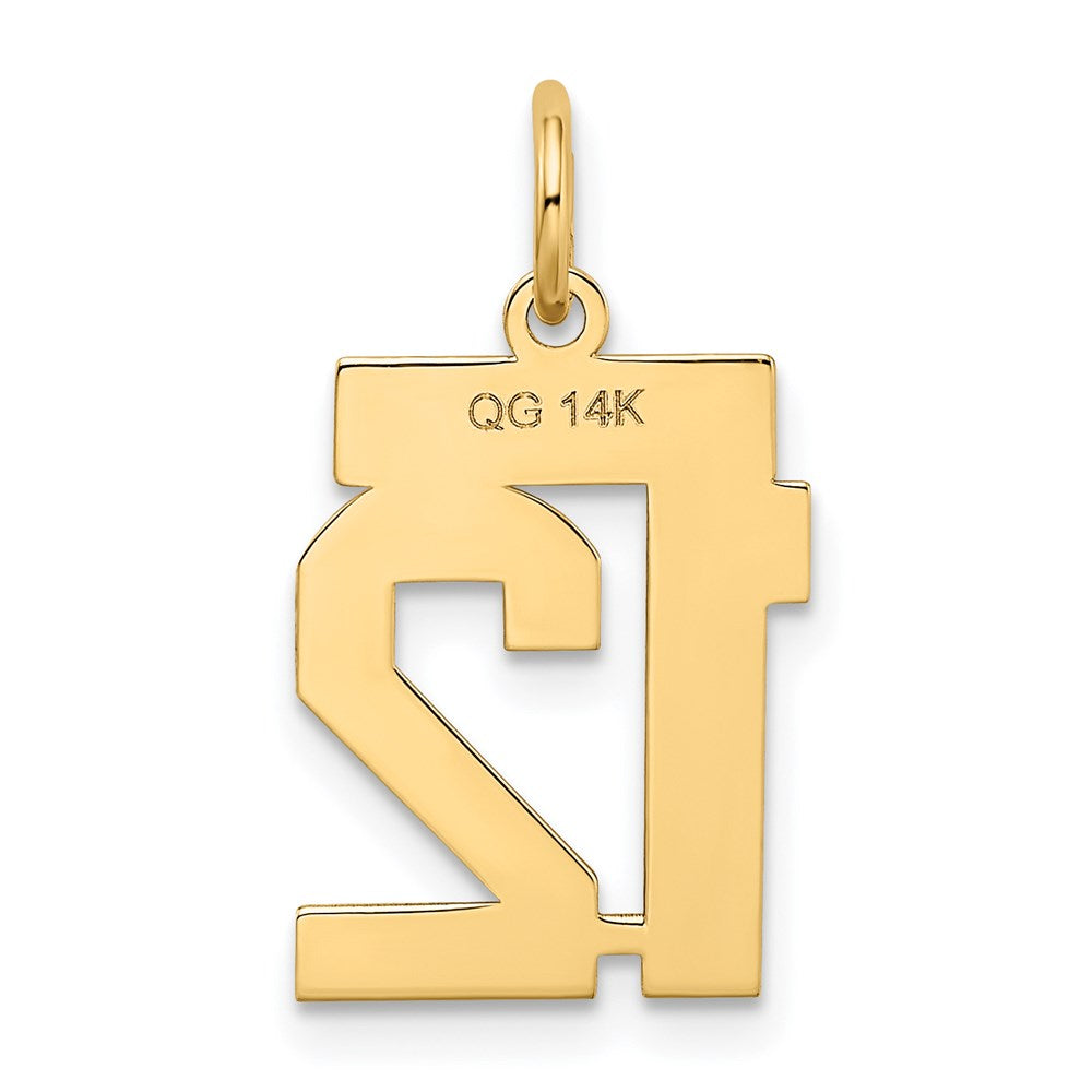 14k Small Satin Number 12 Charm