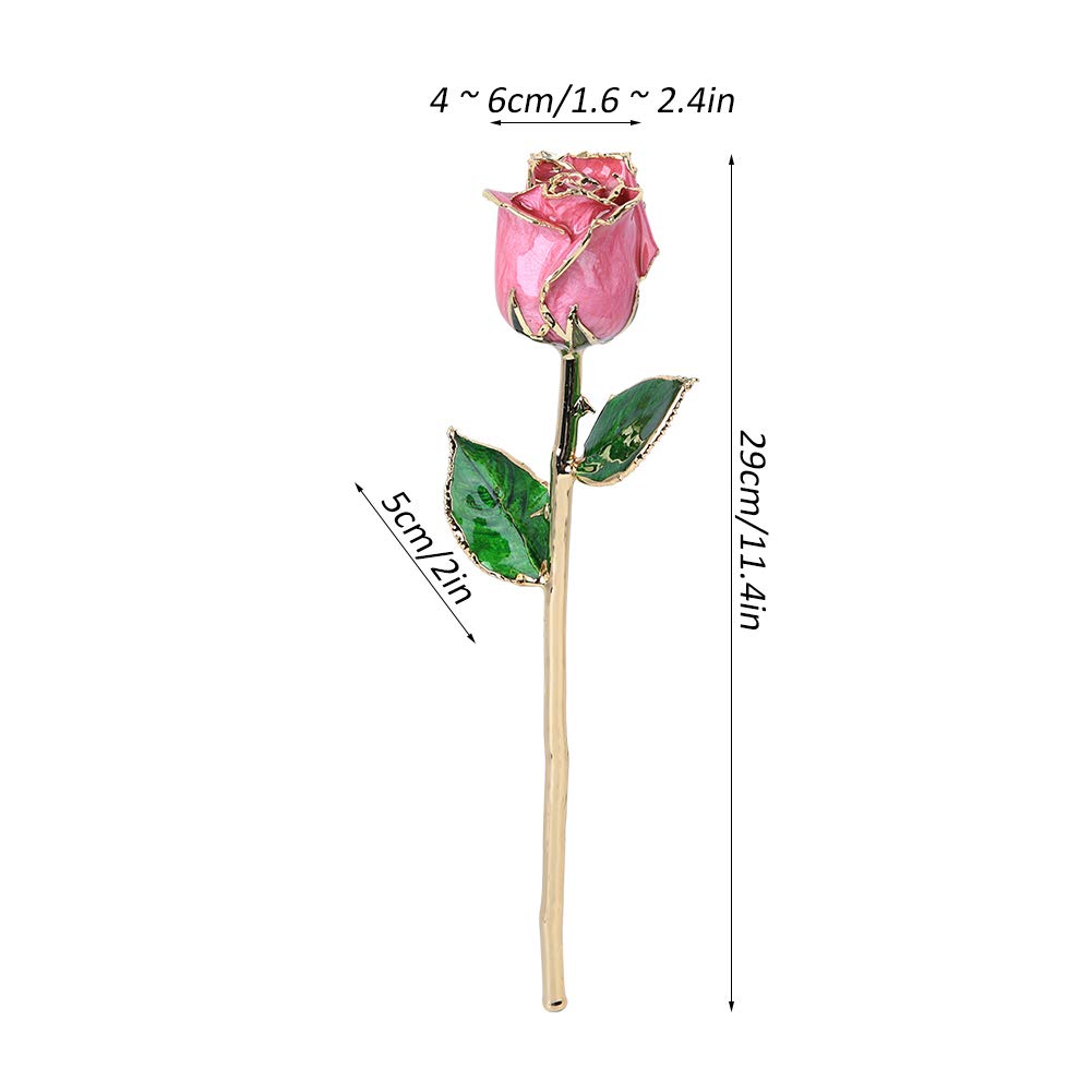 24k Gold Plated Trim Pink Rose