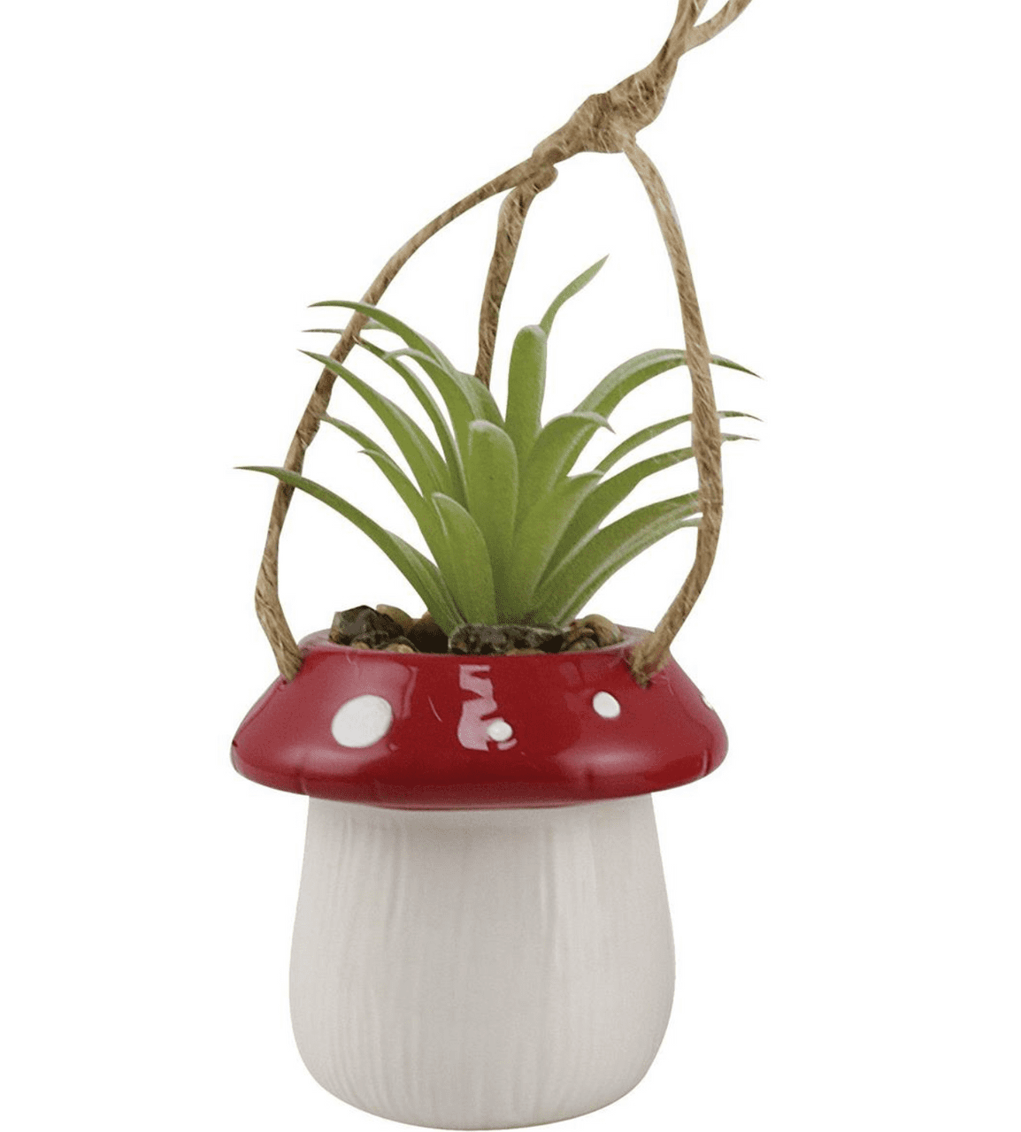 Our Name Is Mud Mushroom Hanging Succulent