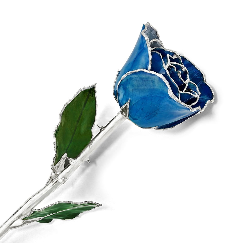 Lacquer Dipped Silver Trim Blue Rose