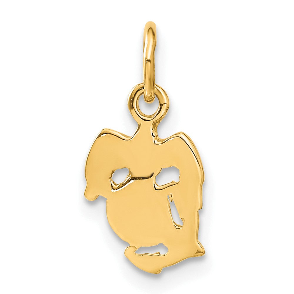 10k U. S. Marine Corps Charm