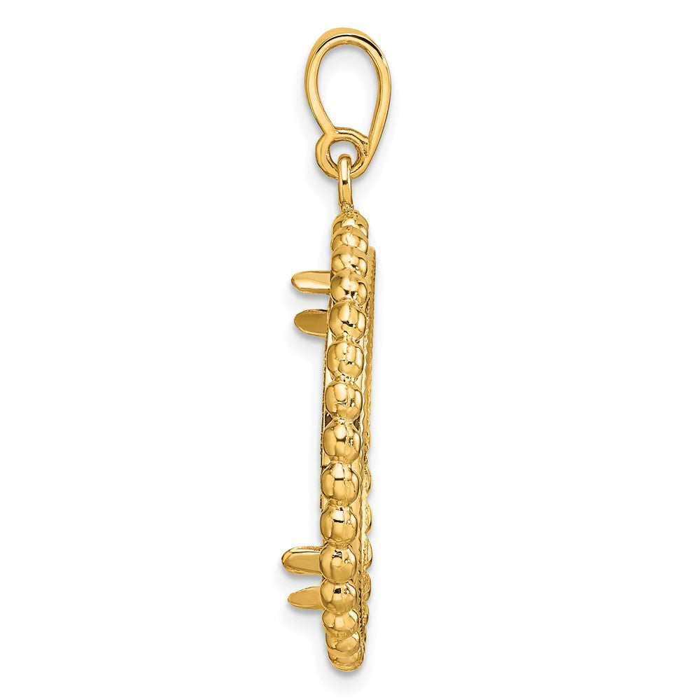 Wideband Distinguished Coin Jewelry 14k Polished and Diamond-cut with Beaded Edge 22.0mm Prong Coin Bezel Pendant