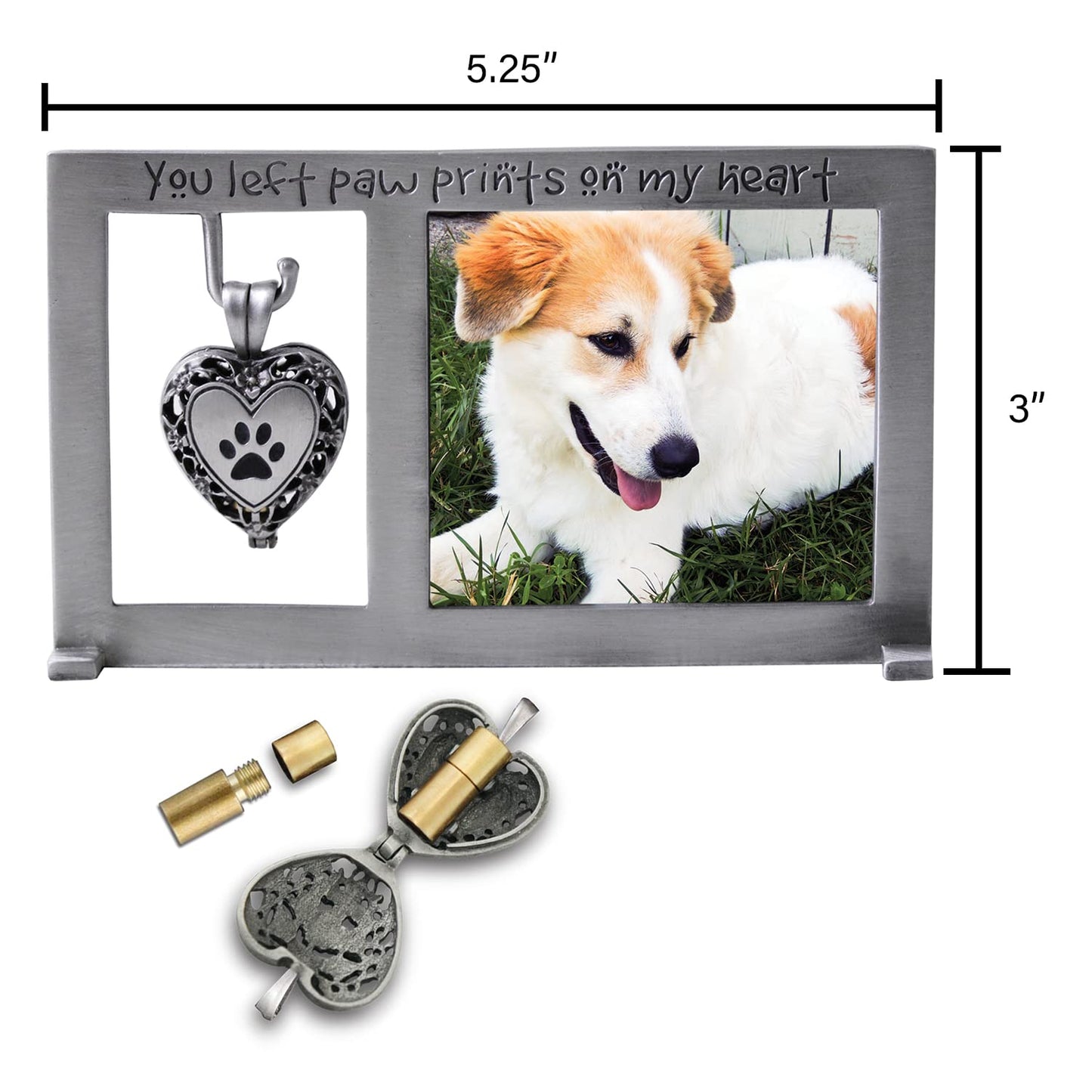 Cathedral Art PF404 Pet Memorial Frame with Vial for Ashes, 5-1/4 by 3-Inch