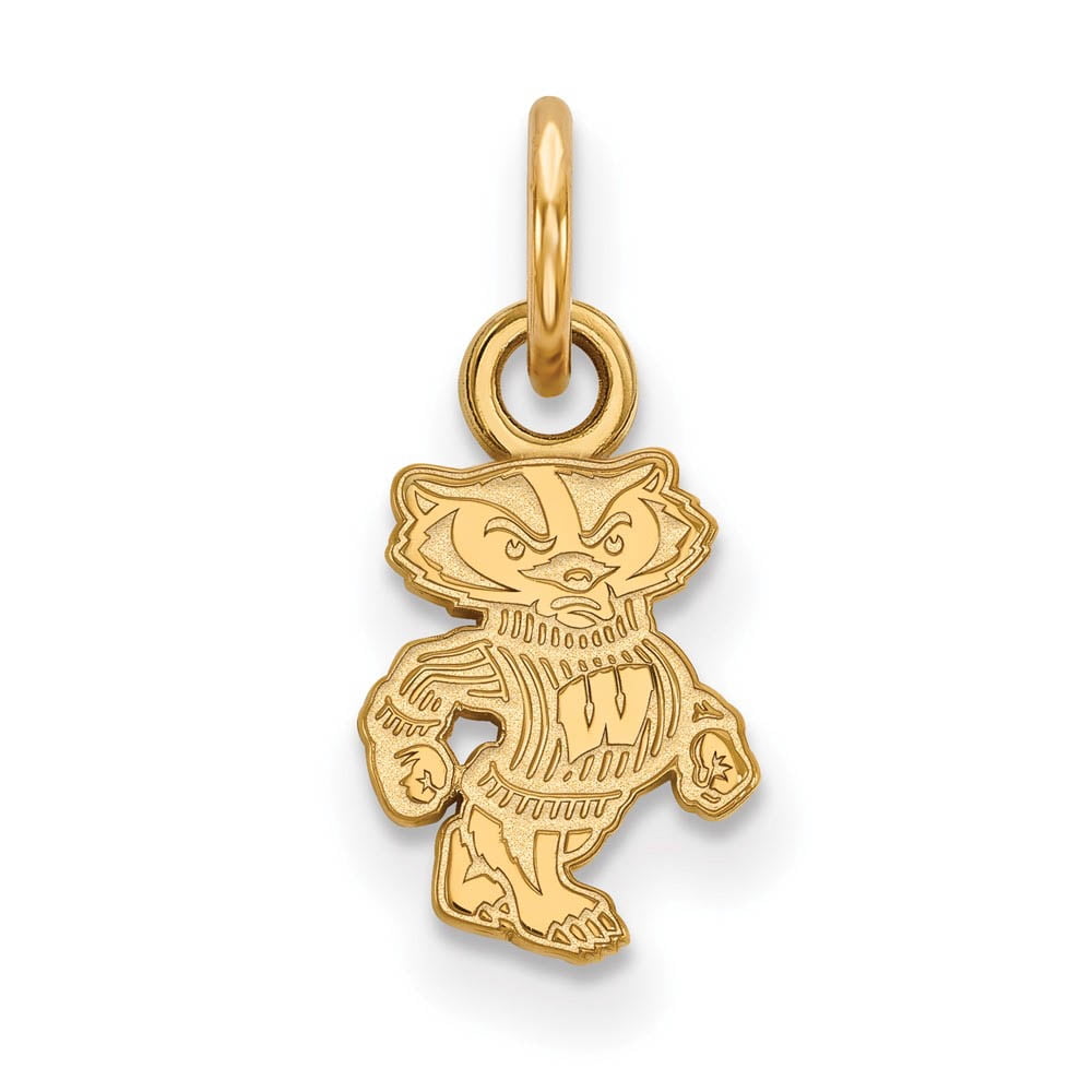 14k Yellow Gold U. of Wisconsin XS (Tiny) Badgers Charm or Pendant