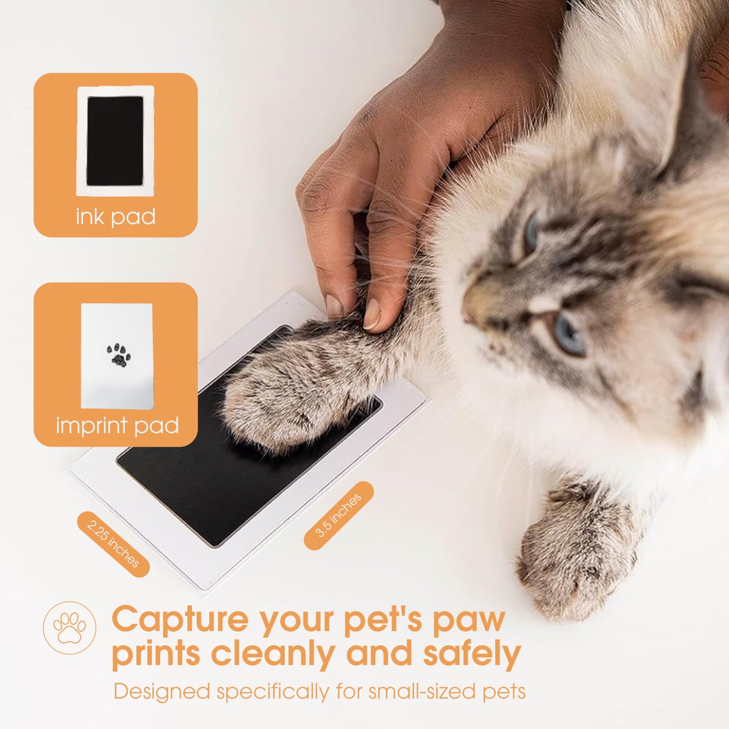 Pearhead Pet Paw Print Clean-Touch Ink Pad Kit with Imprint Cards for Cats or Dogs, Black