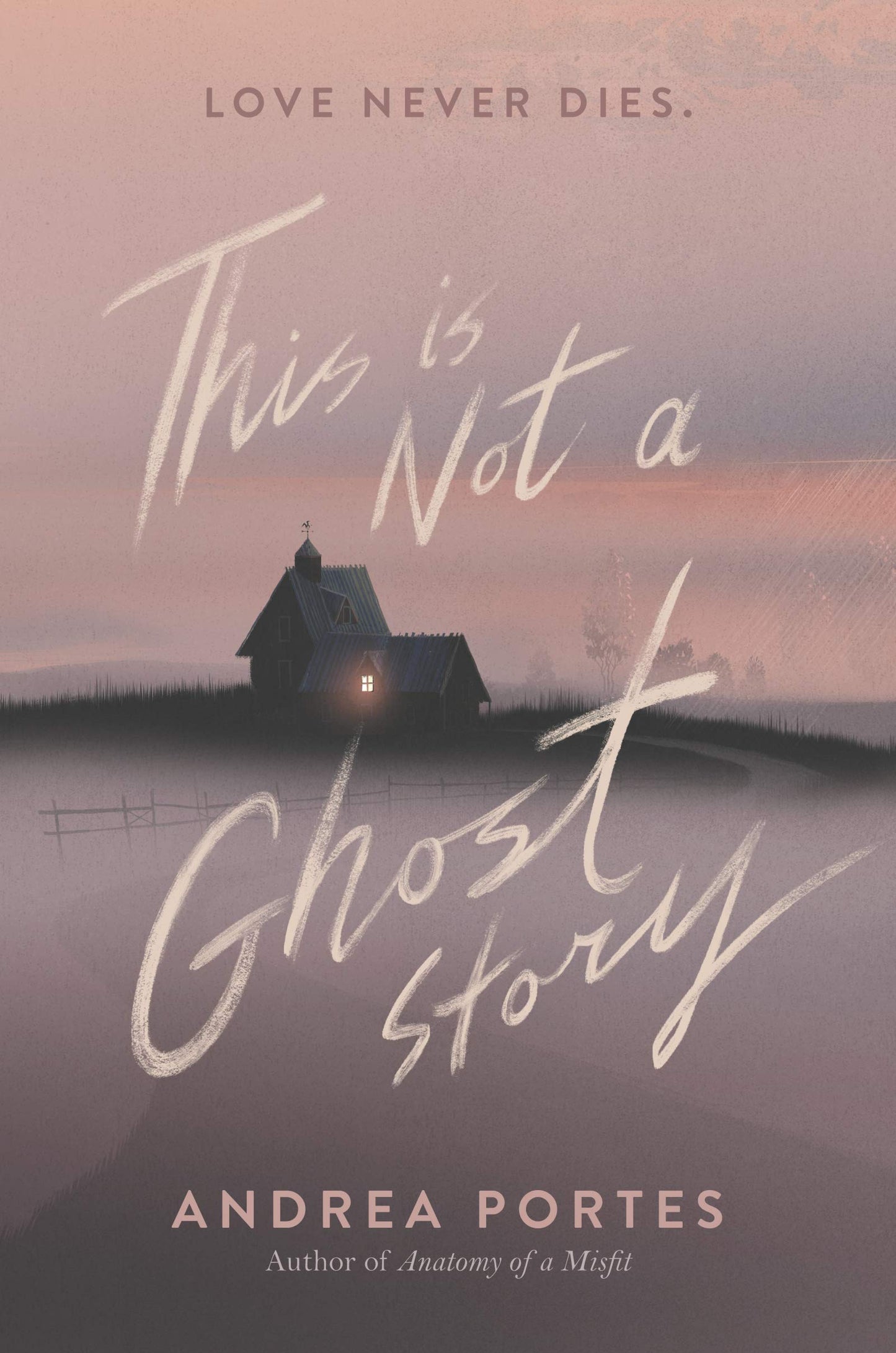 This Is Not a Ghost Story [Hardcover] Portes, Andrea